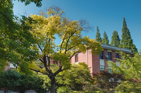 西北工業(yè)大學在職研究生考試考什么科目？