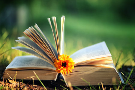 上海財經大學同等學力申碩報考條件