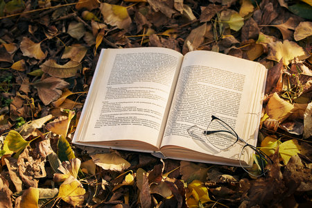 安徽財經大學MEM報考條件