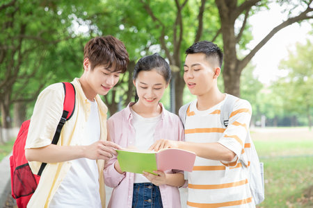 美國西東大學國際碩士報考條件