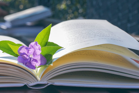 法國ISG高等管理學院國際碩士報考條件