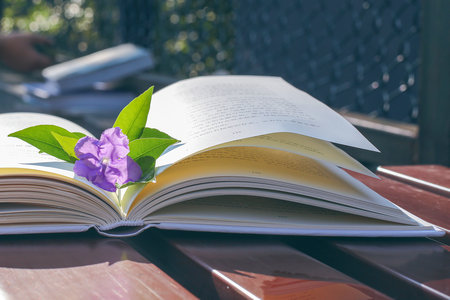 技術(shù)經(jīng)濟(jì)及管理在職研究生報(bào)名及考試時(shí)間