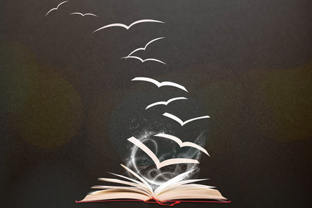 體育學在職研究生報名及考試時間