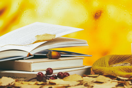 西南林業(yè)大學(xué)非全日制研究生報(bào)考條件2025年