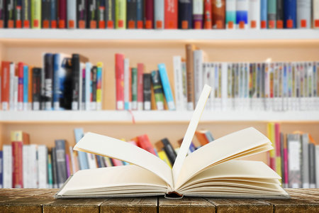 沈陽師范大學(xué)非全日制研究生報(bào)考條件 沈陽師范大學(xué)非全日制研究生報(bào)考條件