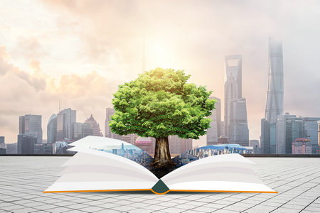 武漢理工大學同等學力申碩報考條件