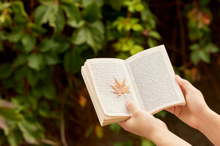 北京物資學(xué)院同等學(xué)力申碩報(bào)考條件 北京物資學(xué)院同等學(xué)力申碩報(bào)考條件