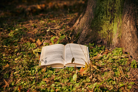 華北理工大學MEM報名入口 華北理工大學MEM報名入口