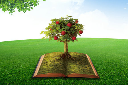 鄭州輕工業(yè)大學MPAcc報名入口2025年