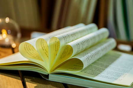 內蒙古科技大學MPAcc報名入口 內蒙古科技大學MPAcc報名入口