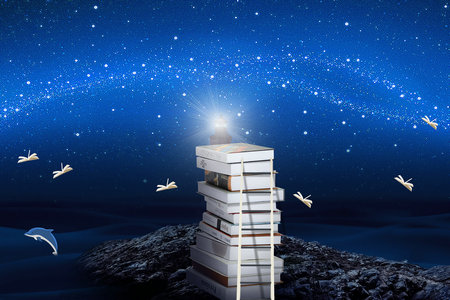 沈陽工業(yè)大學(xué)MEM報(bào)名入口