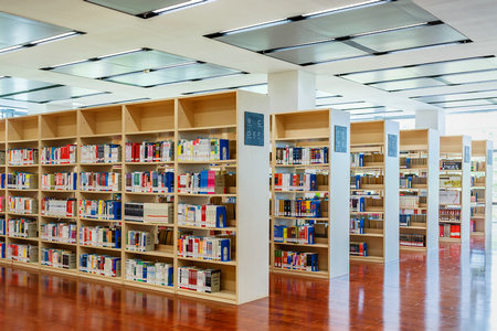 東北財經大學MPA報名入口