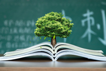 西班牙加泰羅尼亞理工大學(xué)國(guó)際博士報(bào)名入口2025年