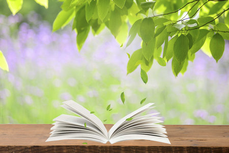 南京林業大學同等學力申碩報名入口