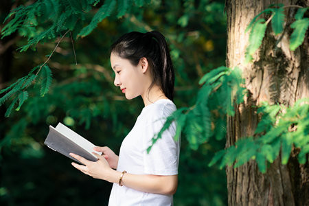 南華大學(xué)非全日制研究生報(bào)考條件2025年