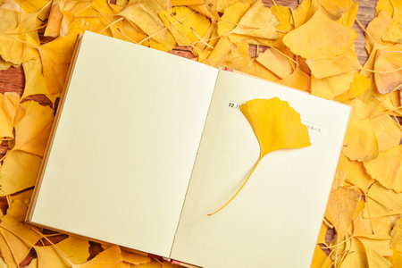 江蘇科技大學非全日制研究生報考條件 江蘇科技大學非全日制研究生報考條件