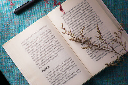 天津財(cái)經(jīng)大學(xué)非全日制研究生報(bào)考條件2025年