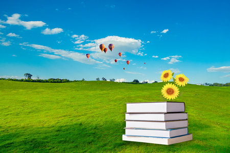 英國切斯特大學國際博士報考條件及流程