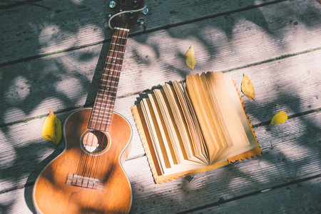 揚州大學MEM報考條件及流程