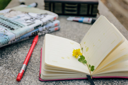 內(nèi)蒙古師范大學(xué)MPA報考條件及流程2025年