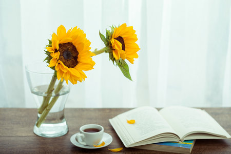 內(nèi)蒙古科技大學(xué)MPAcc報(bào)考條件及流程 內(nèi)蒙古科技大學(xué)MPAcc報(bào)考條件及流程