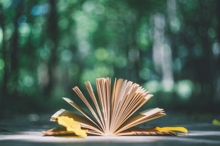 青島大學MPAcc報考條件及流程 青島大學MPAcc報考條件及流程