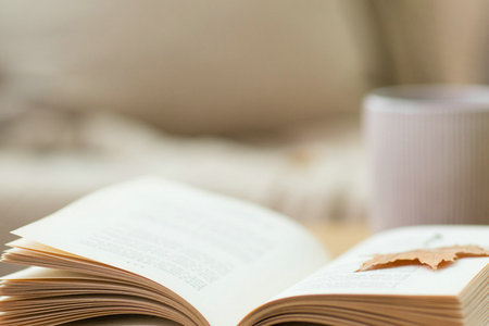 法國亞眠高等商學院國際碩士報考條件及流程 法國亞眠高等商學院國際碩士報考條件及流程