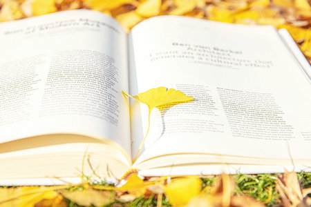 法律(非法學)非全日制研究生報名及考試時間 法律(非法學)非全日制研究生報名及考試時間