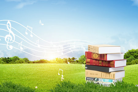 2026美國雪蘭多大學(xué)國際博士考試考什么科目？