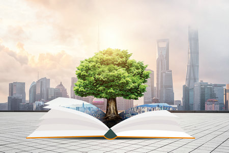 美國(guó)印第安納大學(xué)國(guó)際博士考試科目