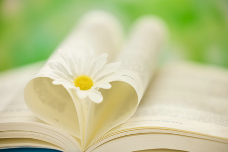 美國卡羅爾大學國際博士考試科目