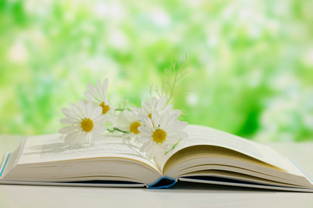 西班牙武康大學國際碩士考試科目 西班牙武康大學國際碩士考試科目