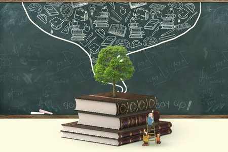 河北經(jīng)貿(mào)大學(xué)MEM考試科目