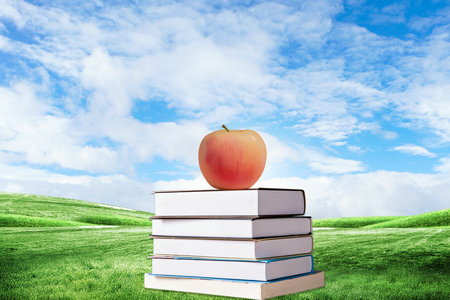 西班牙加泰羅尼亞理工大學(xué)國(guó)際博士考試科目