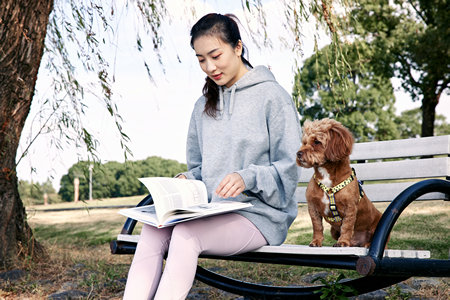 杭州電子科技大學(xué)MPAcc報(bào)考條件及流程