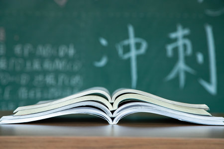 法國維萊爾國際商學院國際碩士報名入口