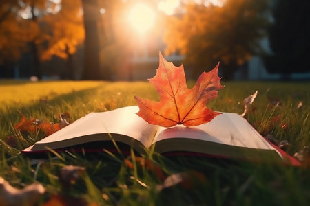 長安大學MBA考試科目