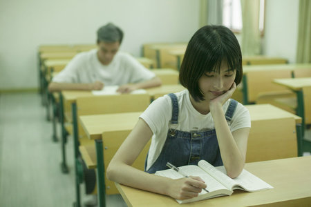 法國克萊蒙高等商學院國際碩士認可度