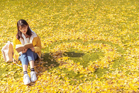 英國奇切斯特大學(xué)報名入口