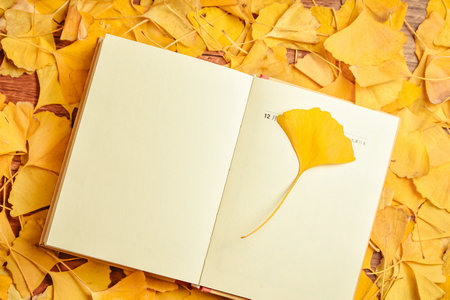 上海理工大學(xué)MEM復(fù)試流程 上海理工大學(xué)MEM復(fù)試流程