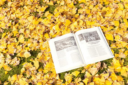 北京師范大學在職博士復試