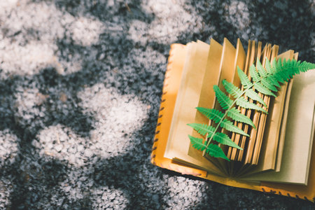 華中科技大學MPA復試沒通過怎么辦