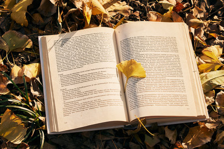 如果太原理工大學MEM復試沒通過怎么辦？