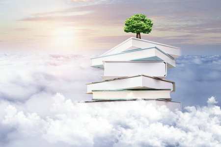 福建師范大學(xué)非全日制研究生考試成績查詢流程 福建師范大學(xué)非全日制研究生考試成績查詢流程