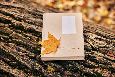 西南民族大學(xué)非全日制研究生成績查詢