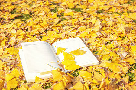 北京第二外國(guó)語(yǔ)學(xué)院MBA怎么能提升成績(jī)？