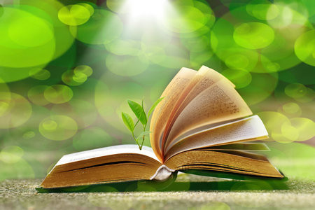 長江大學MEM的成績什么時候出？