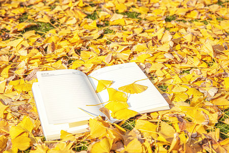 江西財經大學MPA分數線