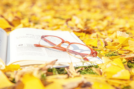 上海理工大學MEM分數(shù)線什么時候出？