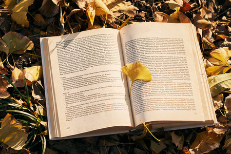 首都師范大學MPA分數線每年一樣嗎？